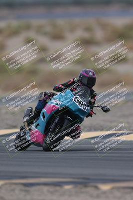 media/Sep-21-2025-Race Pace (Sun) [[98bf33ef95]]/Non Verified/2-Turn 5 Tree of Life (815am)/